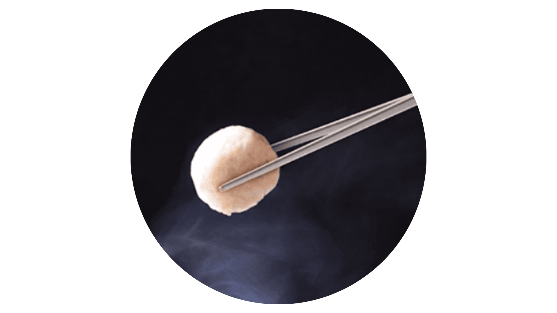 BaoQuai Chopsticks holding a meat ball.